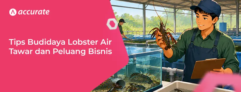Tips Budidaya Lobster Air Tawar dan Peluang Bisnis yang Ada di Dalamnya