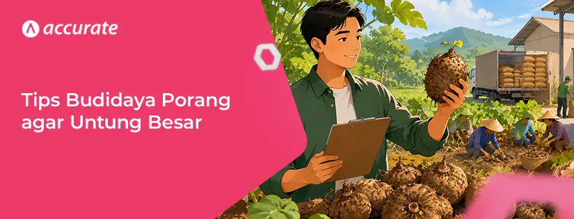 accurate.id Tips Budidaya Porang dan Keuntungan Bisnis Besar di Dalamnya Tips Budidaya Porang dan Keuntungan Bisnis Besar di Dalamnya