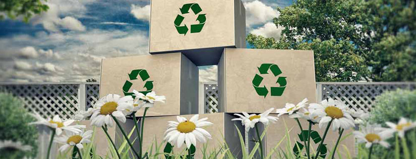 Bisnis Eco-Friendly: Solusi Jualan Untung dan Ramah Lingkungan