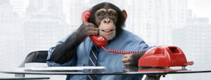 Monkey Business: Pengertian, Contoh, dan Cara Menghindarinya