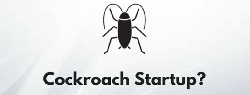 Apa Itu Cockroach Startups? Ini Penjelasan Lengkapnya!