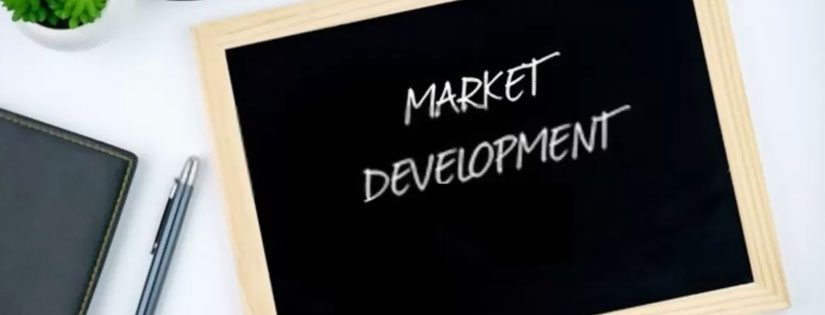 Apa Itu Strategi Market Development? Bagaimana Cara Menerapkan Strateginya?