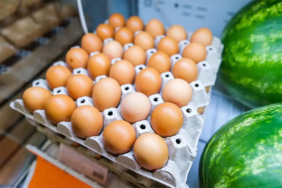 Pengertian Bisnis Telur Ayam