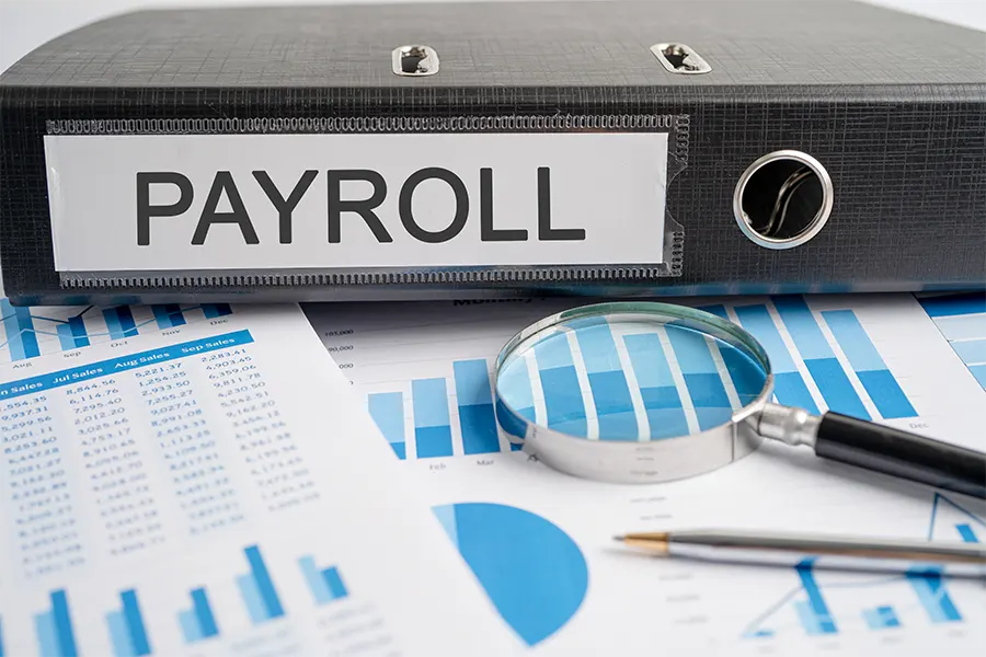 Apa itu aplikasi payroll?